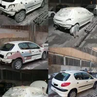 نقاش ماشین های سنگین وسواری