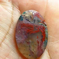 نگین شجر گل اناری