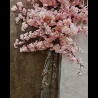 گلدان سفید همراه شکوفه های صورتی تنه درخت طبیعی