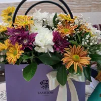 نگهداری ونظافت وپخت وپز از دوسالمندباارائه سویت