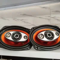 یک جفت باند مارشال