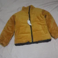 کاپشن تدی عسلی|لباس|تهران, خانی آباد نو شمالی|دیوار