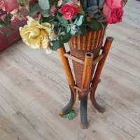 گل خارجی با گلدان