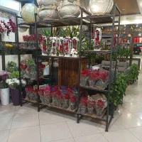 نمایندگی و تولید انحصاری(بی رقیب در کشور)|استخدام بازاریابی و فروش|تهران, هلال احمر|دیوار