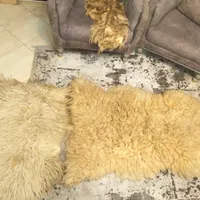 پوست قوچ بزرگ درمانی