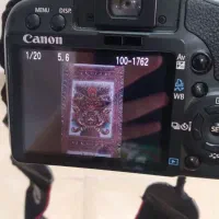 دوربین عکاسی|دوربین عکاسی و فیلم‌برداری|هشتگرد, شهرک بعثت|دیوار