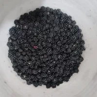 تمشک تازه چین