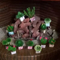 کاکتوسهای مصنوعی ساخته شده با خمیر|گل مصنوعی|تهران, قلهک|دیوار