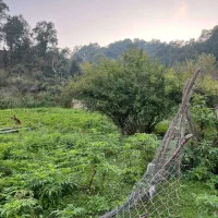 زمینی برای ساختن اعتبار ۵۰۰ متر باویوی ابدی