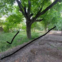 فروش باغ ۷۵۰ متری و ۱۰۰۰ متری در روستای ونان|فروش زمین و ملک کلنگی|قم, آزادگان|دیوار