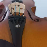 ویولن تی اف ۱۴۲ آکبند|ویولن|گنبد کاووس, |دیوار