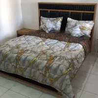 روتختی|سرویس روتختی|قدس, شهر‌قدس|دیوار