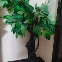 بوفه ، سه عدد گلدان مصنوعی تزینی ، سه عدد صندلی ،|بوفه، ویترین، کنسول|فولادشهر, B2|دیوار