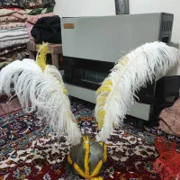 لوازم تعزیه و پر علامت