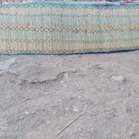 چیت ۶ متری عرض ۱و نیم|گلیم، جاجیم، گبه|آبدانان, |دیوار