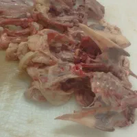 اسکلت مرغ غذایی سگ