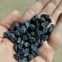 مویز شانی