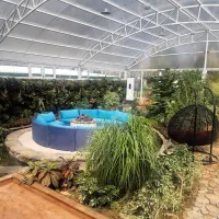 طراح و مجری فضای سبز خارجی و داخلی