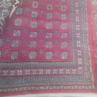 فرش دست بافت|فرش|پرند, فاز ۶|دیوار