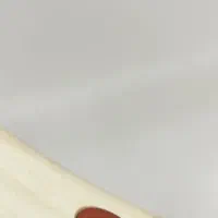 دف سکوت(سایلنت) برند شاهو|سازهای سنتی|شیراز, زند|دیوار