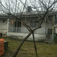 کدشهید/ ۶۶۴متر خانه محوطه قابل تفکیک بر آسفالت