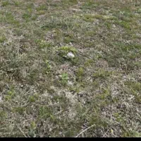 8-ساعت-اب-و-یک-عدد-زمین-در-روستای