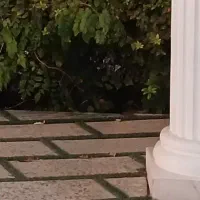 فروش خط ۹۱۲ کد ۵