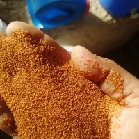 خرید و فروش خاکشیر و  خرفه و  قدومه خریدار