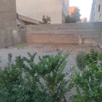 مشارکت در ساخت باغستان