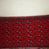 دوتاپشتی نوبزرگ