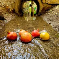 نیروی تمیز کاری منزل