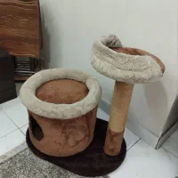 خانه گربه لانه گربه جای خواب گربه پت