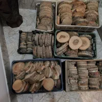 چوب برش خورده