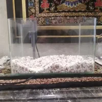 آکواریوم با پمپ|ماهی|قم, پردیسان|دیوار