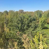 فروش زمین ۱۵۰۰ متری ملایر