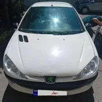 ۲۰۶ تمام رنگ مصرف کنند به در د ش میخوره