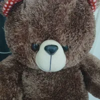 خرس عروسکی|اسباببازی|شیراز, حجت آباد|دیوار