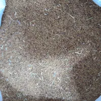 بذر یونجه درجه یک و عالی