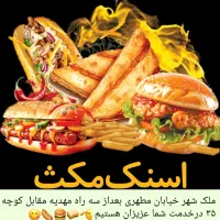 نیروی جوان خانم