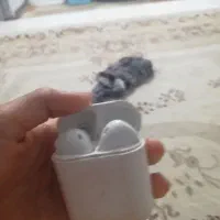 ایرپاد آیفون 3عدد|لوازم جانبی موبایل و تبلت|گرگان, |دیوار