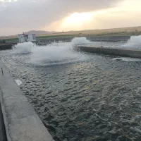 چاه آب 4اینچ دائم 22هکتارزمین بارانی واستخرماهی|اجارهٔ دفتر صنعتی، کشاورزی، تجاری|فرمهین, |دیوار