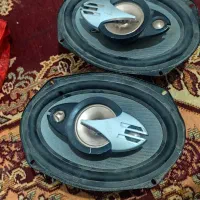 جفت بلندگو ساووی