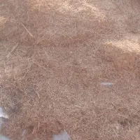 کاه نرم|لوازم جانبی حیوانات|مرودشت, تخت جمشید|دیوار