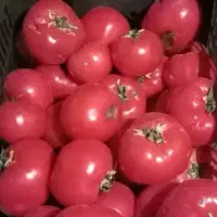 ابگیری گوجه و لیمو