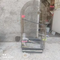 قفس بزرگ