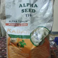 تخمه کدو خارجی اصل