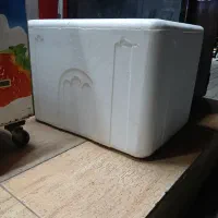 یخچال فومی ۱۰۰لیتری