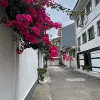 ویلایی ۱۹۱ متری/۳ خوابِ تمیز /۴طبقه مجاز/ درسرچشمه|فروش خانه و ویلا|رشت, گلسار|دیوار