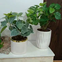 گل مصنوعی|گل مصنوعی|سرپل ذهاب, |دیوار