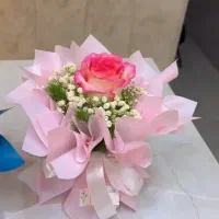 بوگت مینی و جذاب